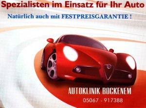 Spezialisten im Einsatz für ihr Auto